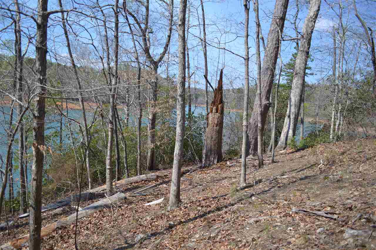 1619Marcia Court, Seneca, SC 29678