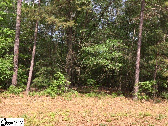 125 Friendship Pointe Drive, Seneca, SC 29678