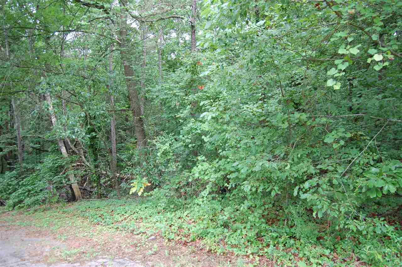 Idlewild Drive, Seneca, SC 29678
