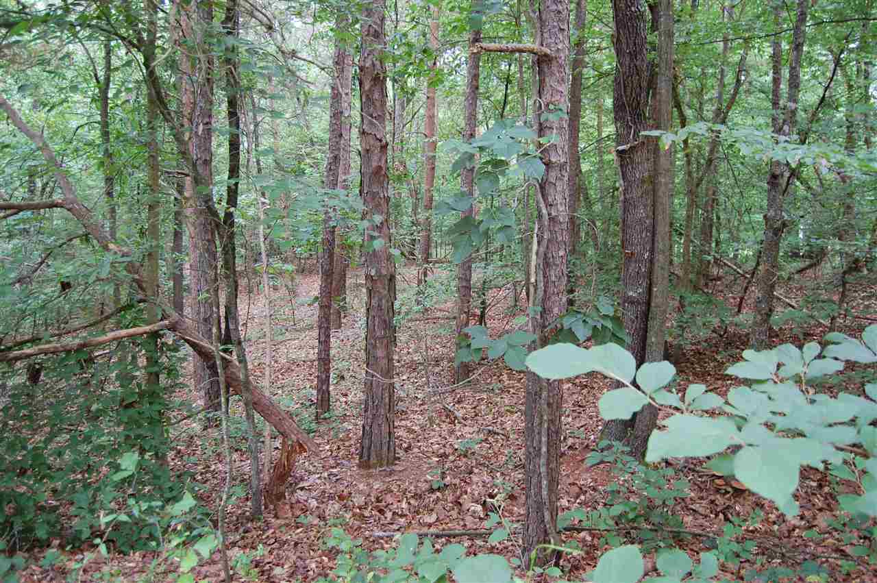 Idlewild Drive, Seneca, SC 29678