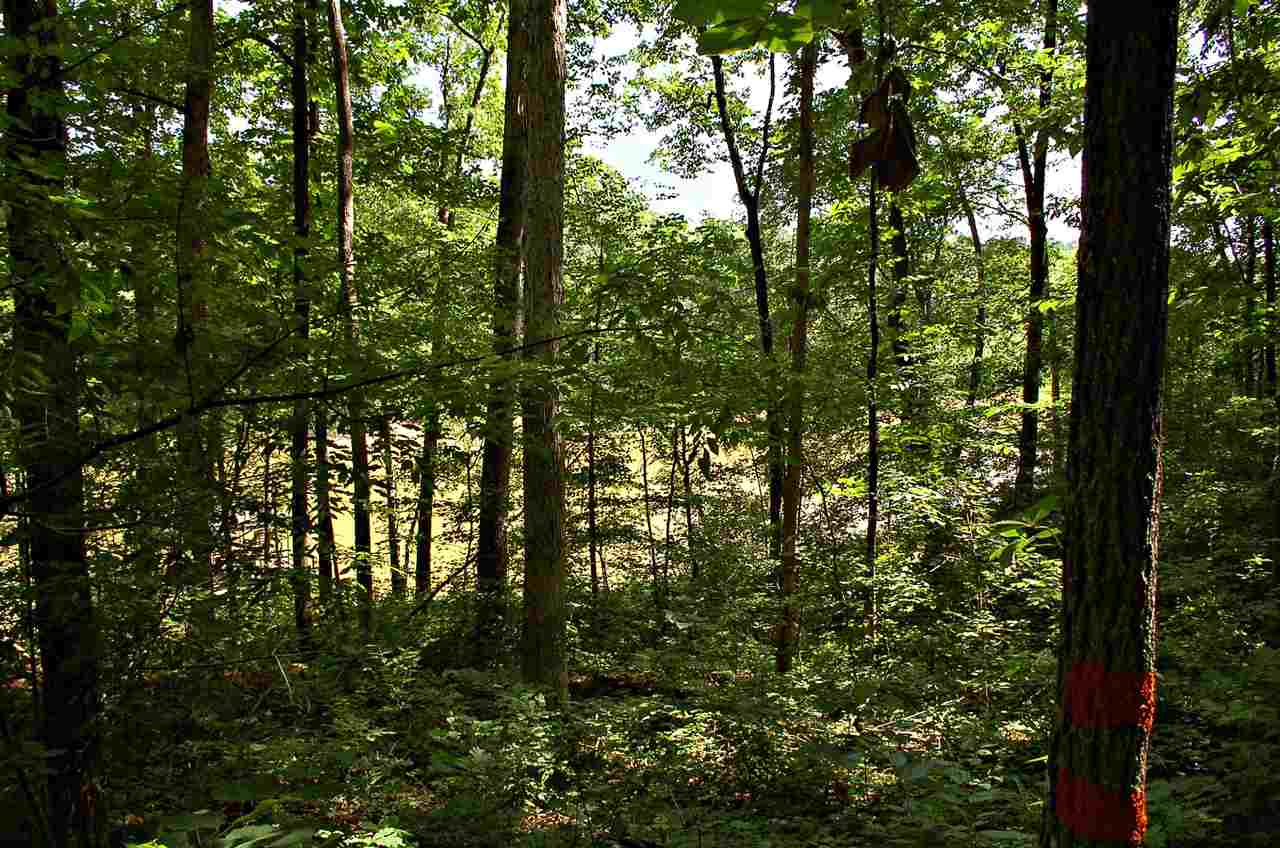 Lot 21Deerfield Lane, Seneca, SC 29678