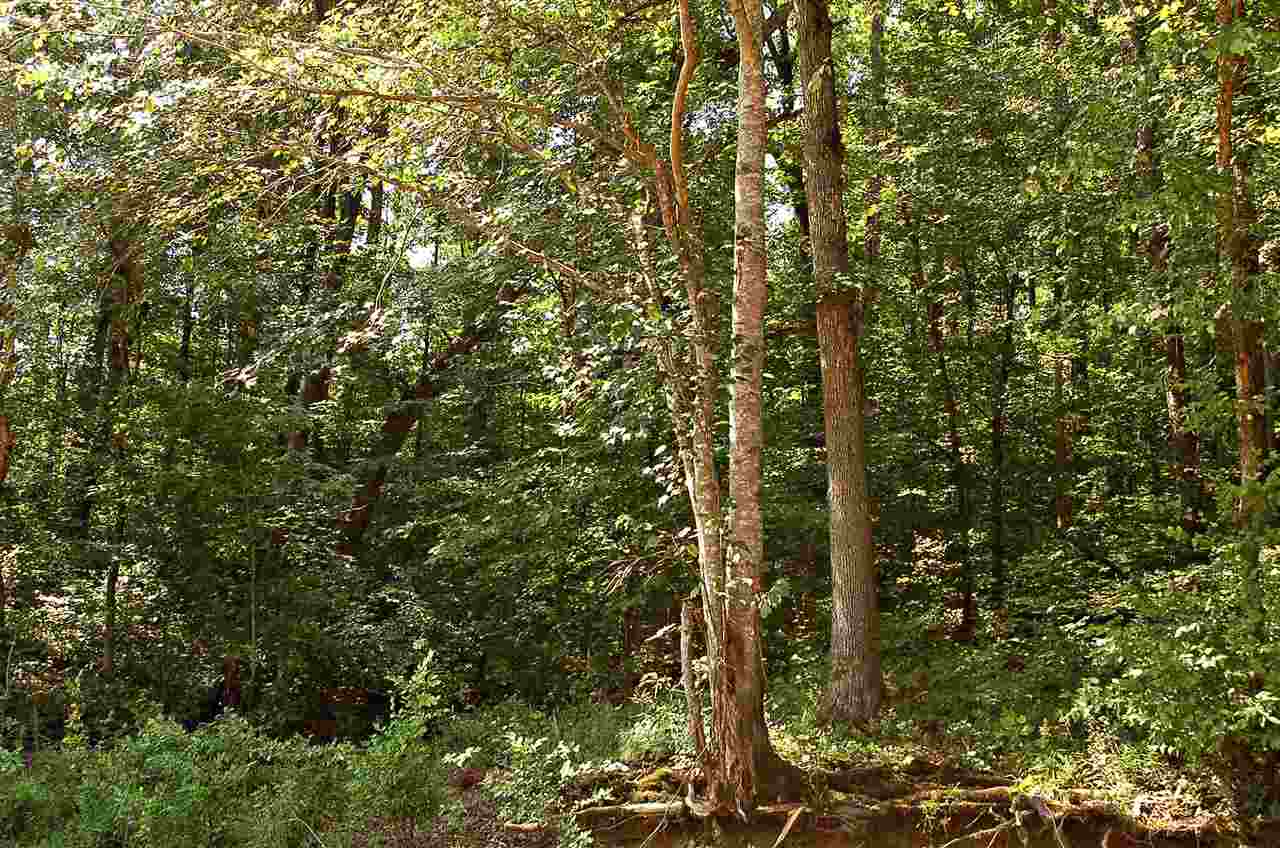 Lot 21Deerfield Lane, Seneca, SC 29678