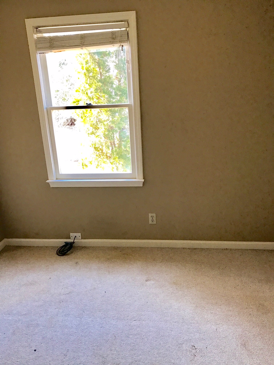 237 Waterbury CtSimpsonville, SC, 29680Greenville County
