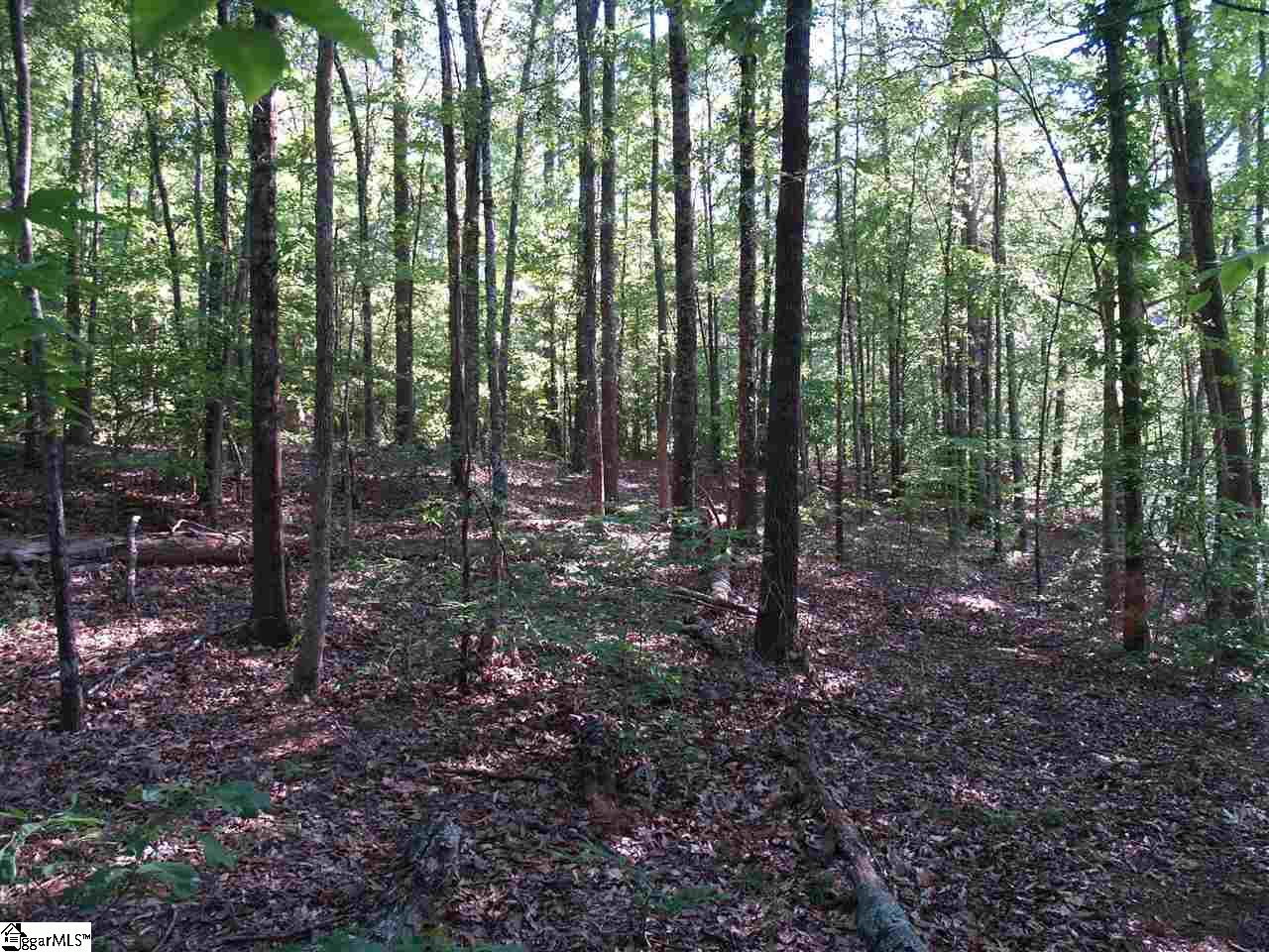 0 Bordeaux Drive, Simpsonville, SC 29680