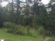 Lot 95Scenic Crest Way, Six Mile, SC 29682