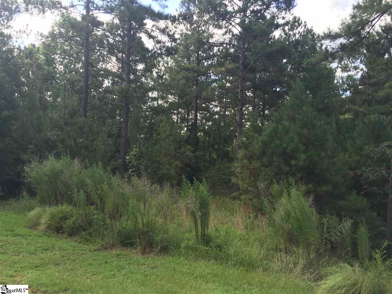 00 Scenic Crest Way, Six Mile, SC 29682