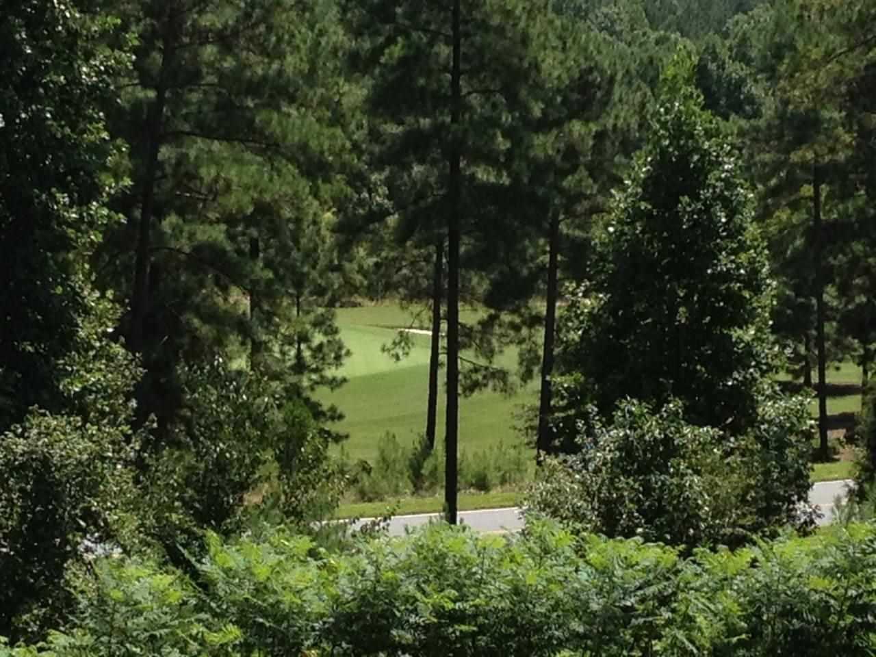 Lot 96Scenic Crest Way, Six Mile, SC 29682