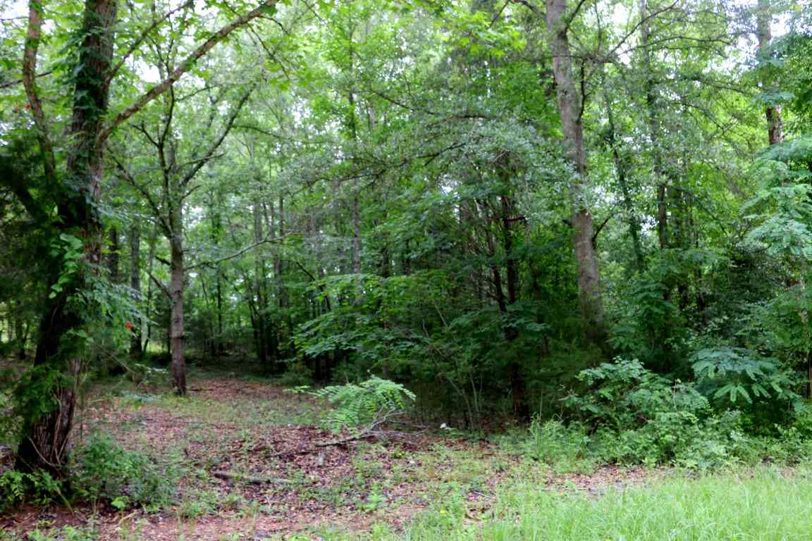 527Farmer Street, Starr, SC 29684