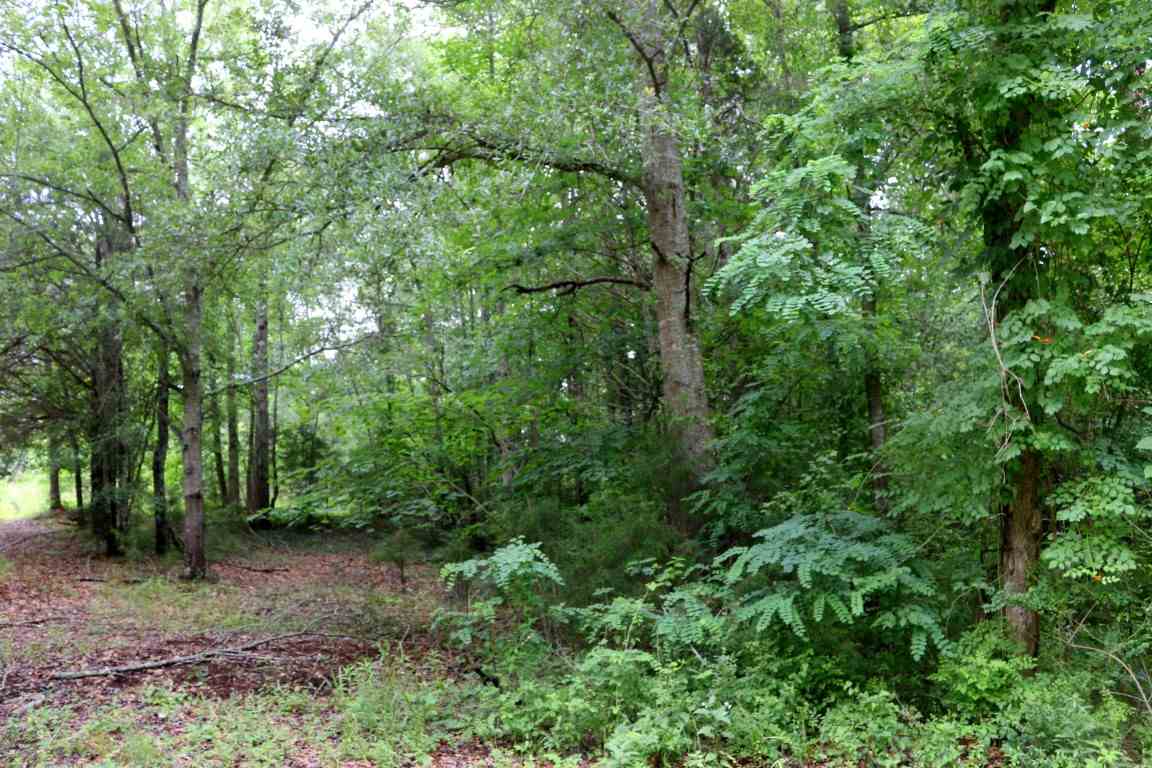 527Farmer Street, Starr, SC 29684