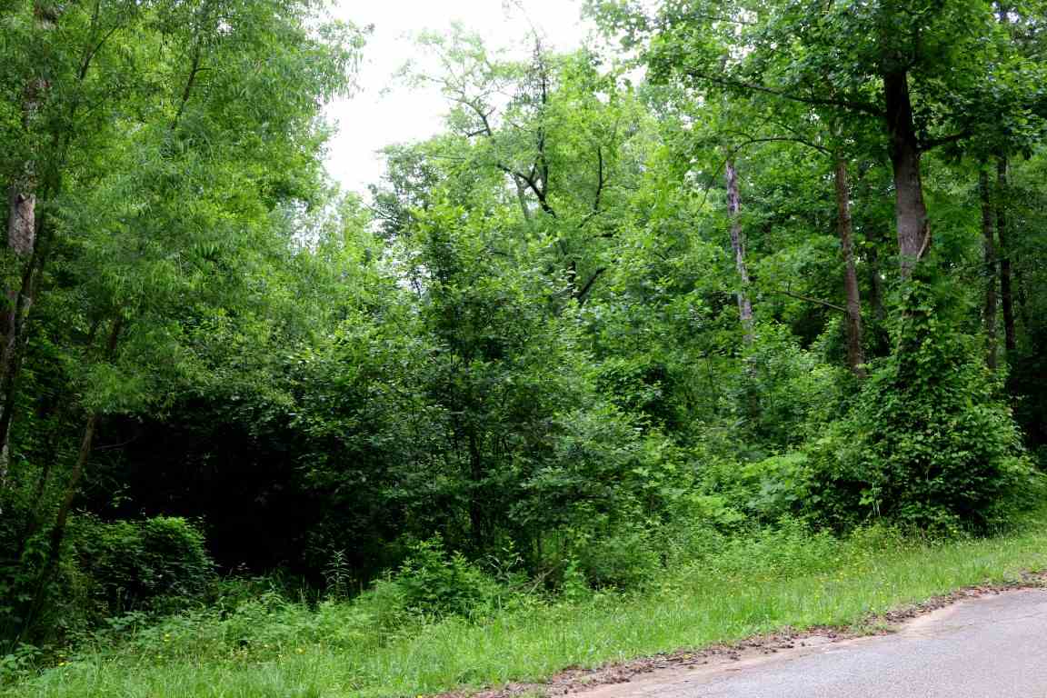527Farmer Street, Starr, SC 29684