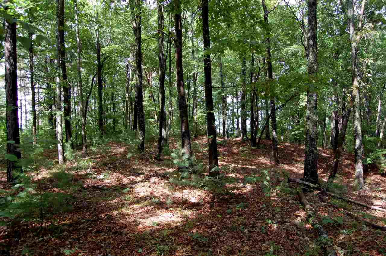 163Eastatoe Parkway, Sunset, SC 29685