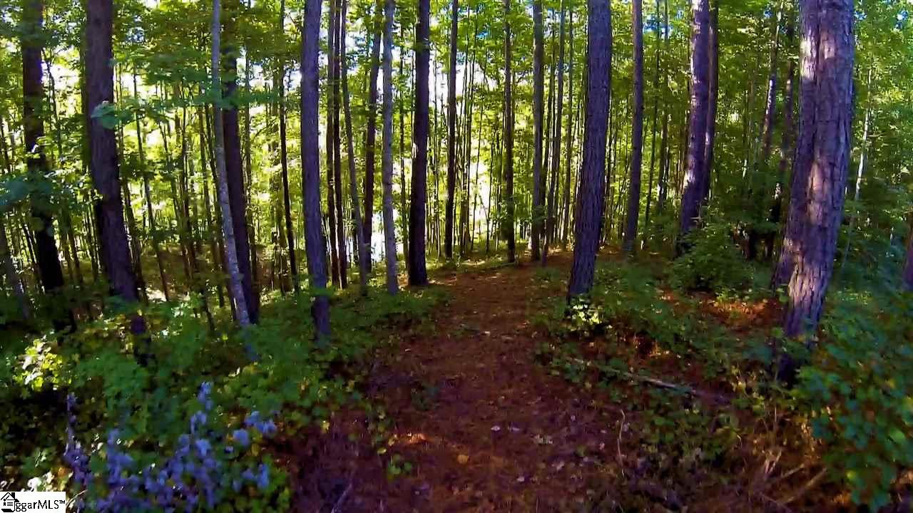 213 Saranac Drive, Sunset, SC 29685