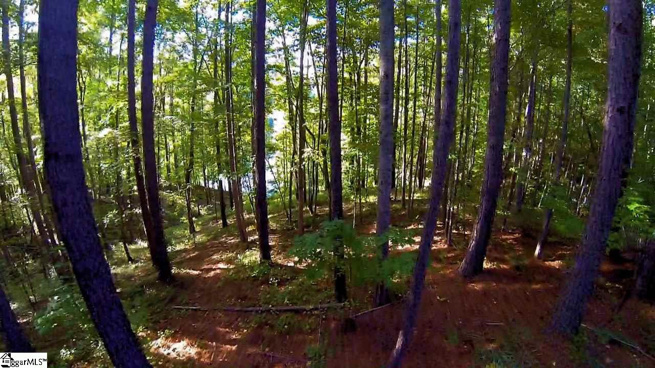 213 Saranac Drive, Sunset, SC 29685