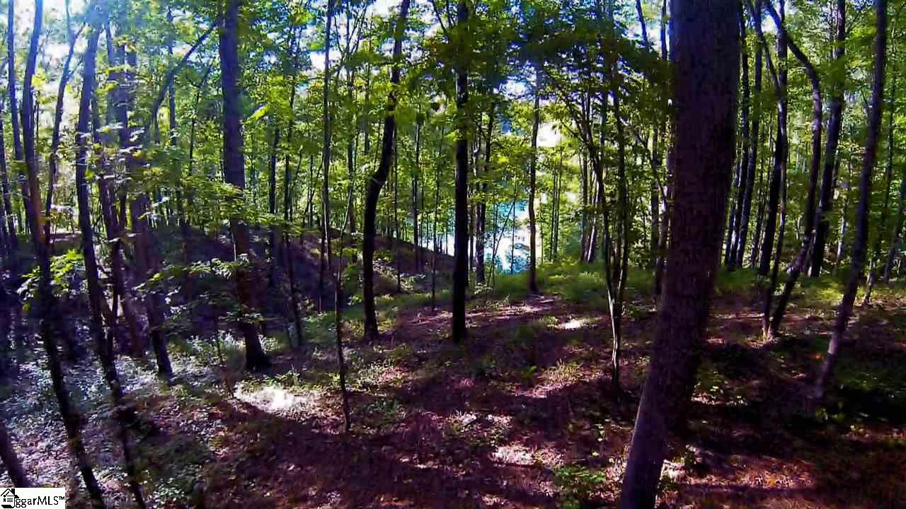 213 Saranac Drive, Sunset, SC 29685