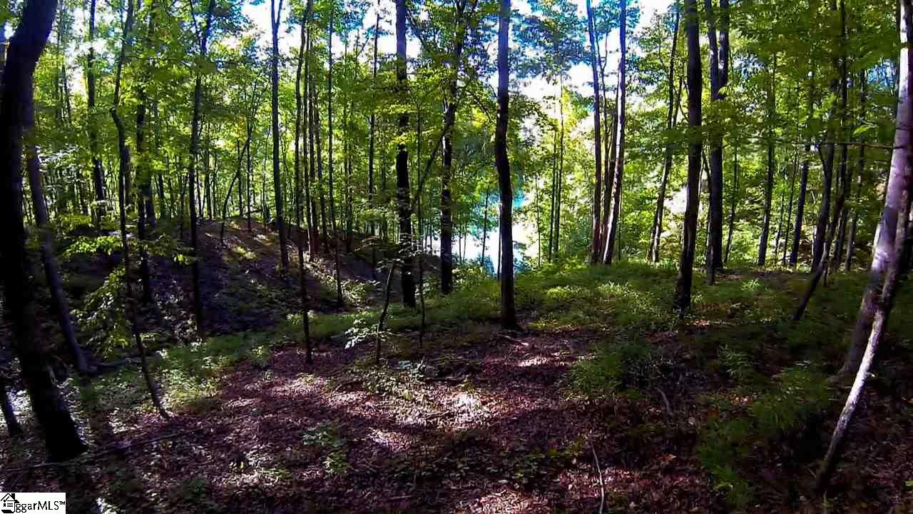 213 Saranac Drive, Sunset, SC 29685