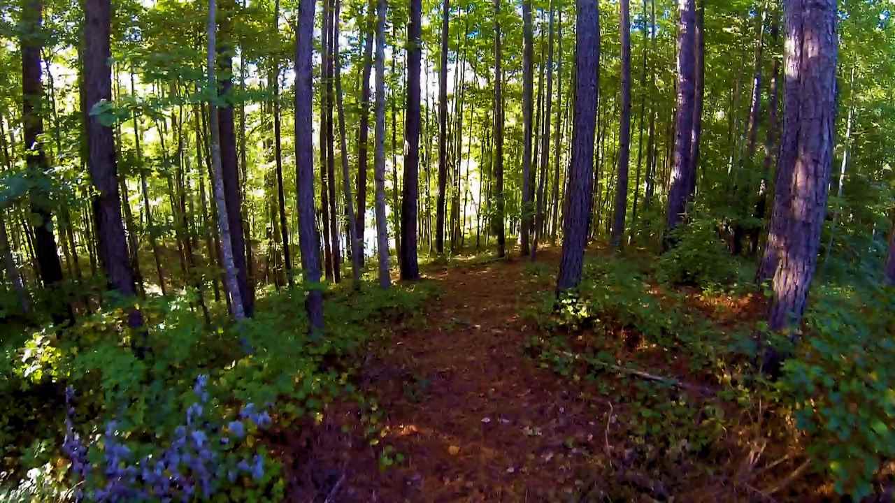 213Saranac Drive, Sunset, SC 29685