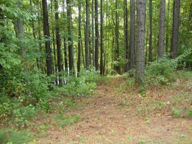 213Saranac Drive, Sunset, SC 29685