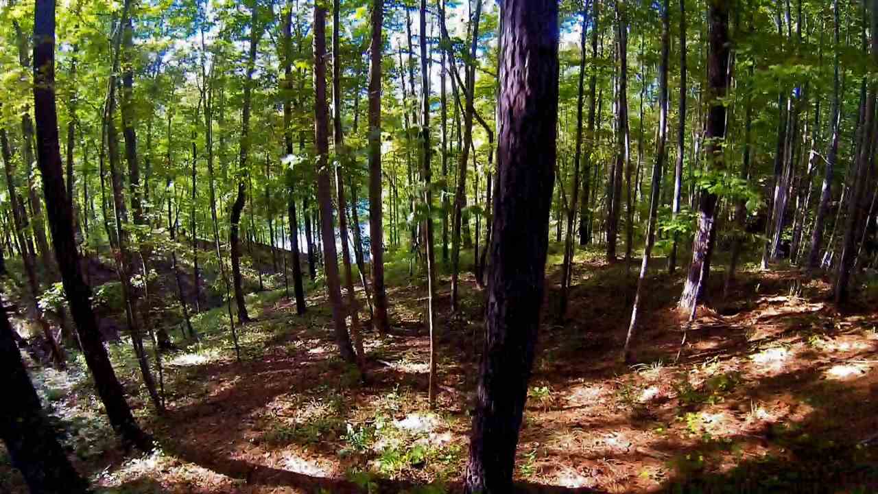213Saranac Drive, Sunset, SC 29685