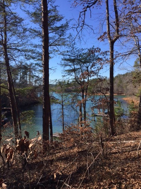 221Crooked Rock Lane, Sunset, SC 29685