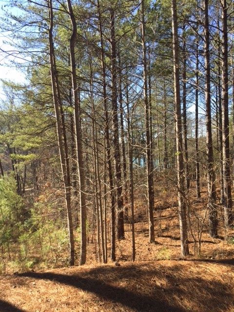 221Crooked Rock Lane, Sunset, SC 29685
