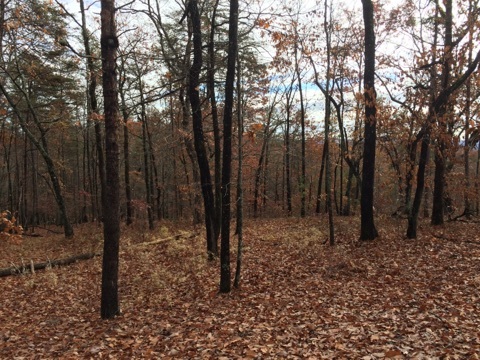 141Parkview Lane, Sunset, SC 29685