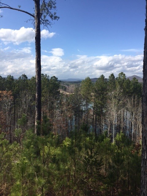 111Pileated Woodpecker Lane, Sunset, SC 29685