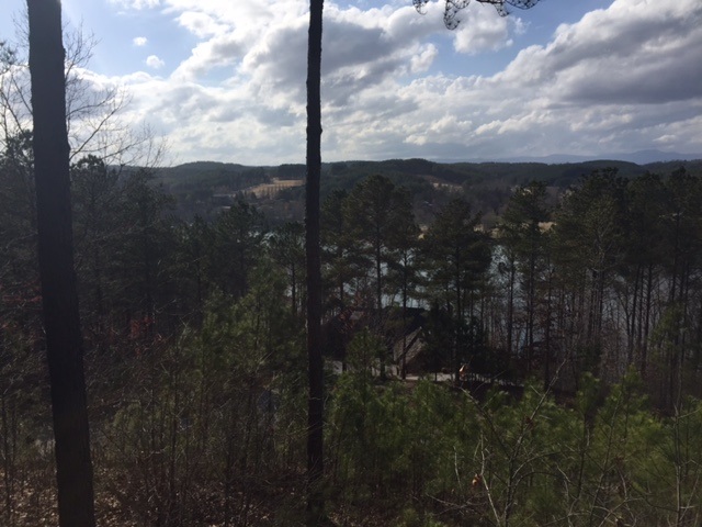 111Pileated Woodpecker Lane, Sunset, SC 29685