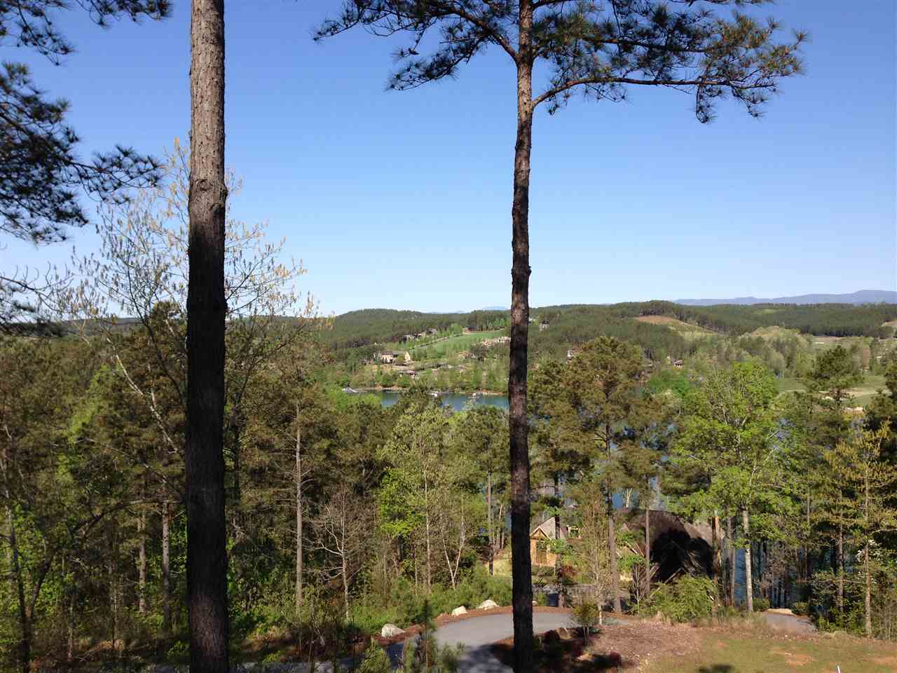 111Pileated Woodpecker Lane, Sunset, SC 29685
