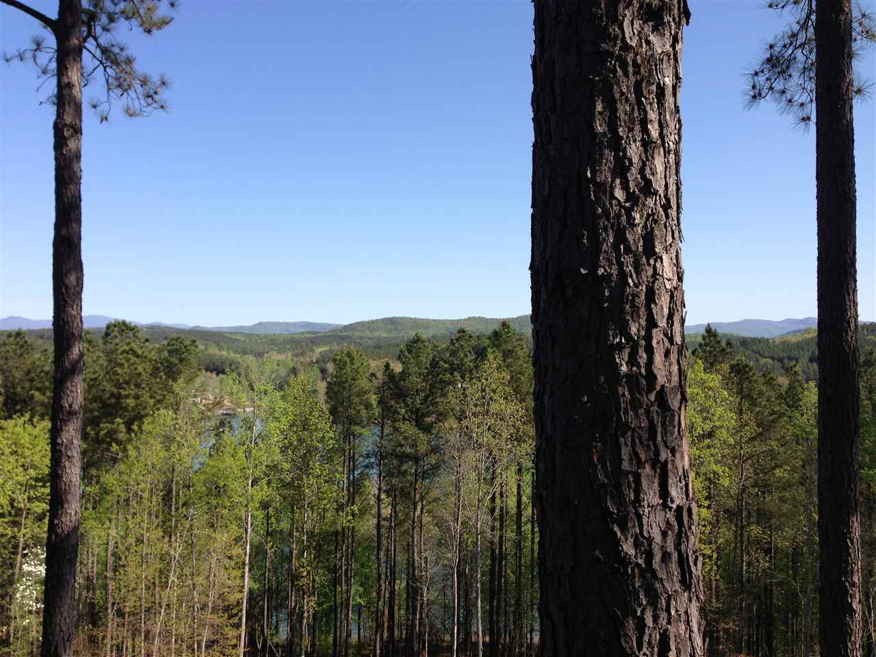 111Pileated Woodpecker Lane, Sunset, SC 29685