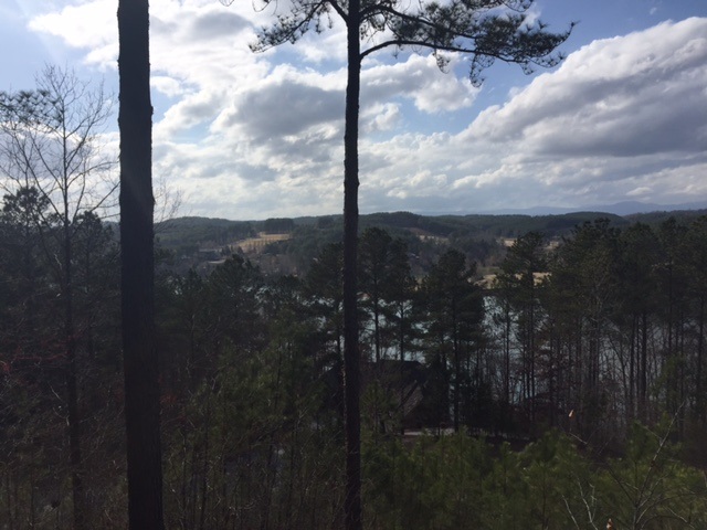 111Pileated Woodpecker Lane, Sunset, SC 29685