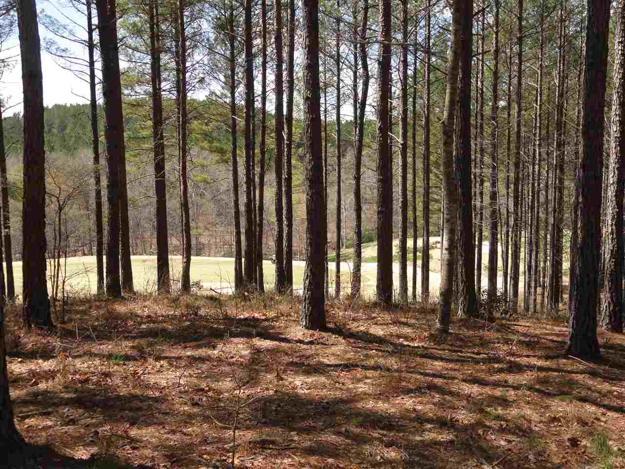 114Muirfield Court, Sunset, SC 29685