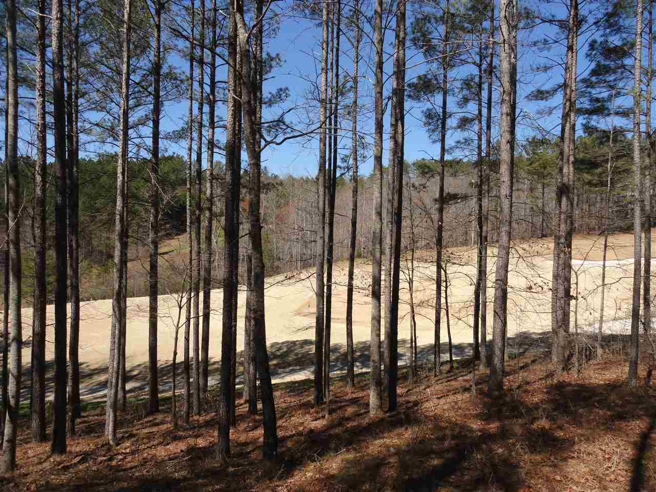 114Muirfield Court, Sunset, SC 29685