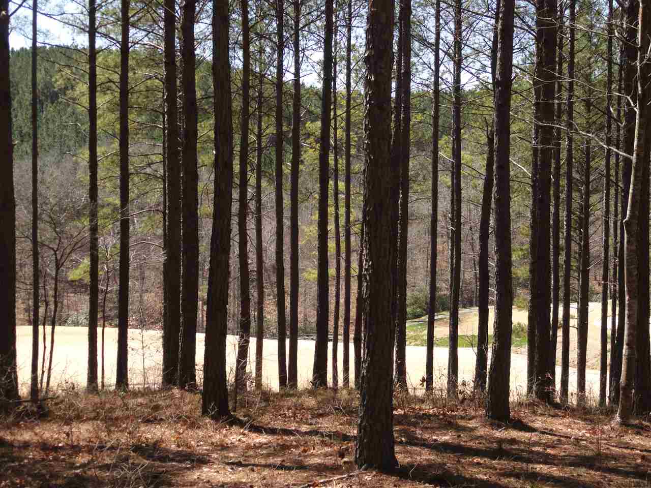 114Muirfield Court, Sunset, SC 29685