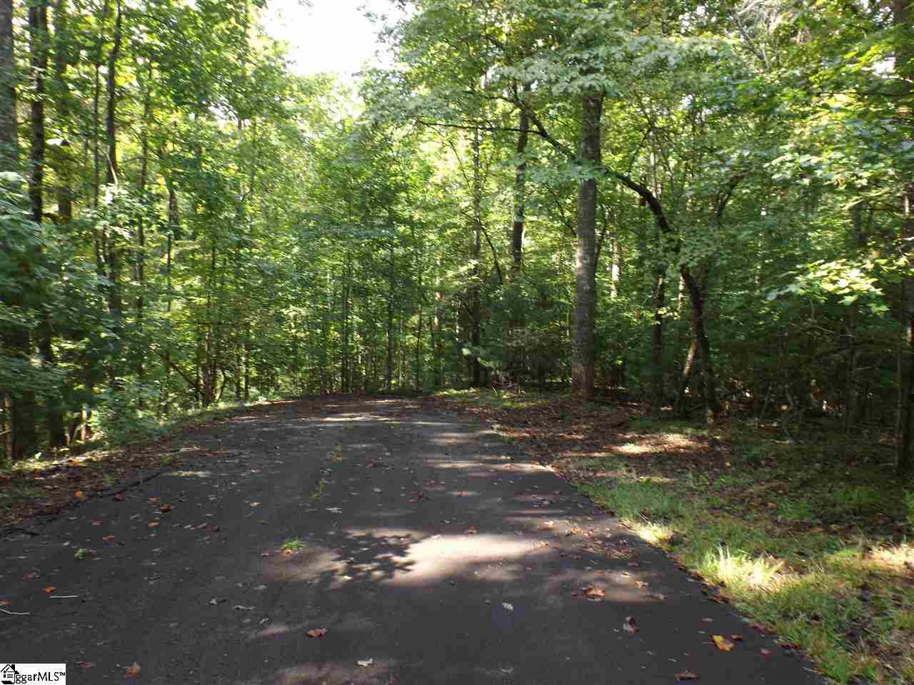 156 and 160 Summit Pines, Sunset, SC 29685