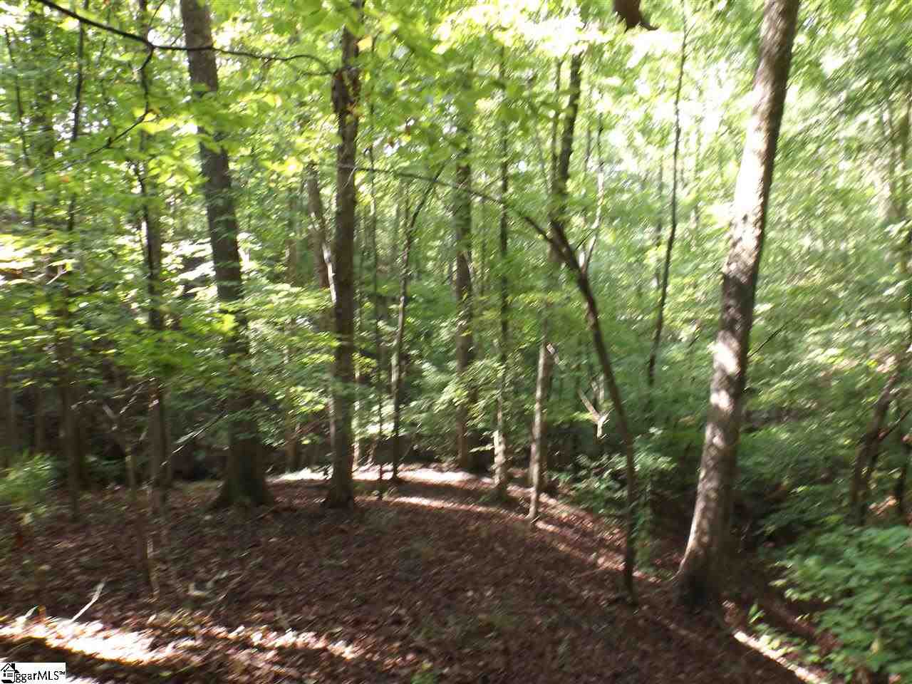 156 and 160 Summit Pines, Sunset, SC 29685
