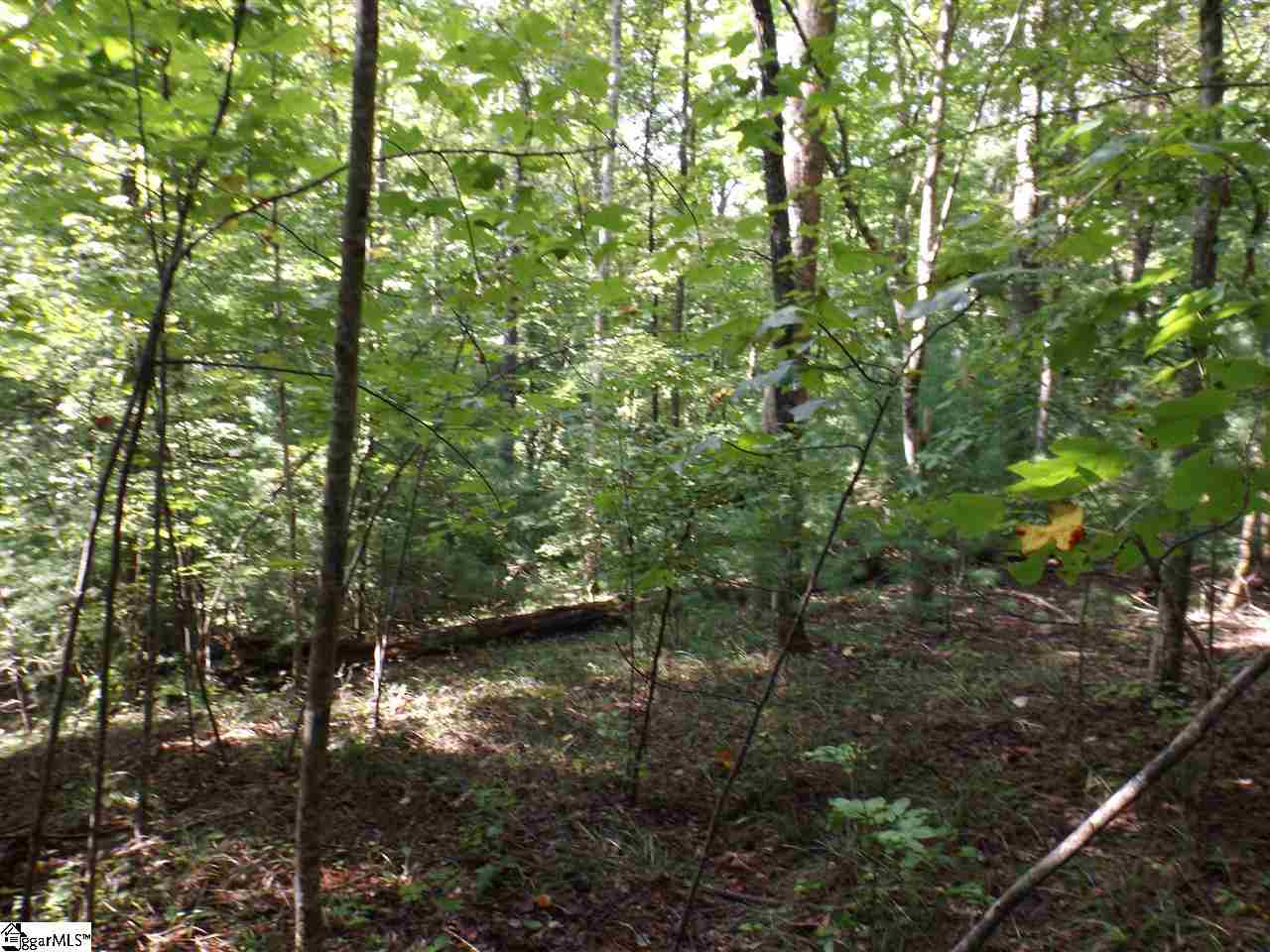 156 and 160 Summit Pines, Sunset, SC 29685