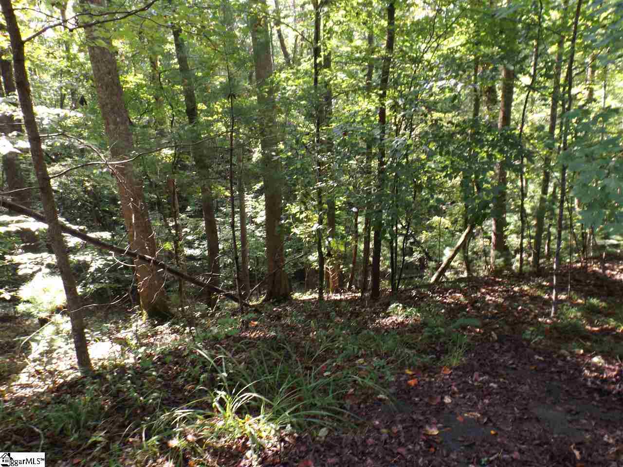 156 and 160 Summit Pines, Sunset, SC 29685