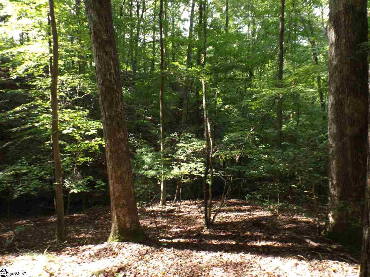 156 and 160 Summit Pines, Sunset, SC 29685