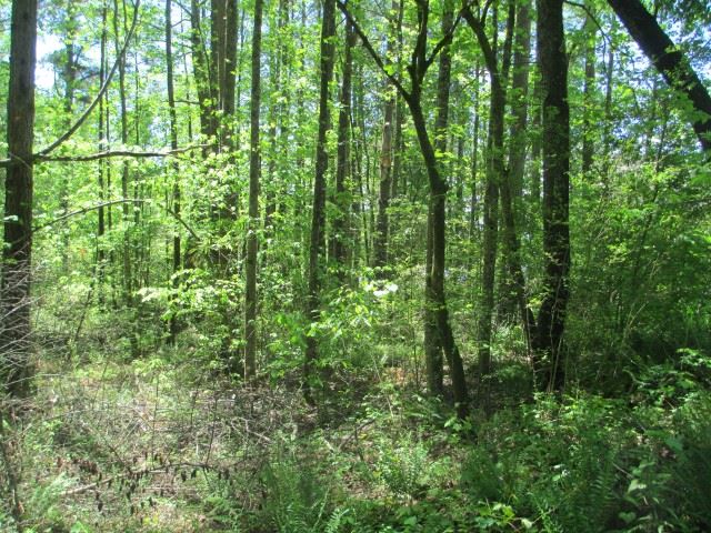 111Panda Parkway, Tamassee, SC 29686