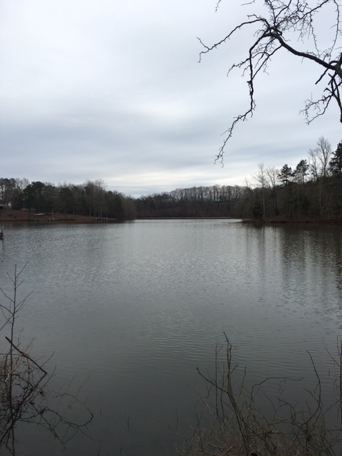 280PENNY LANE, Townville, SC 29689