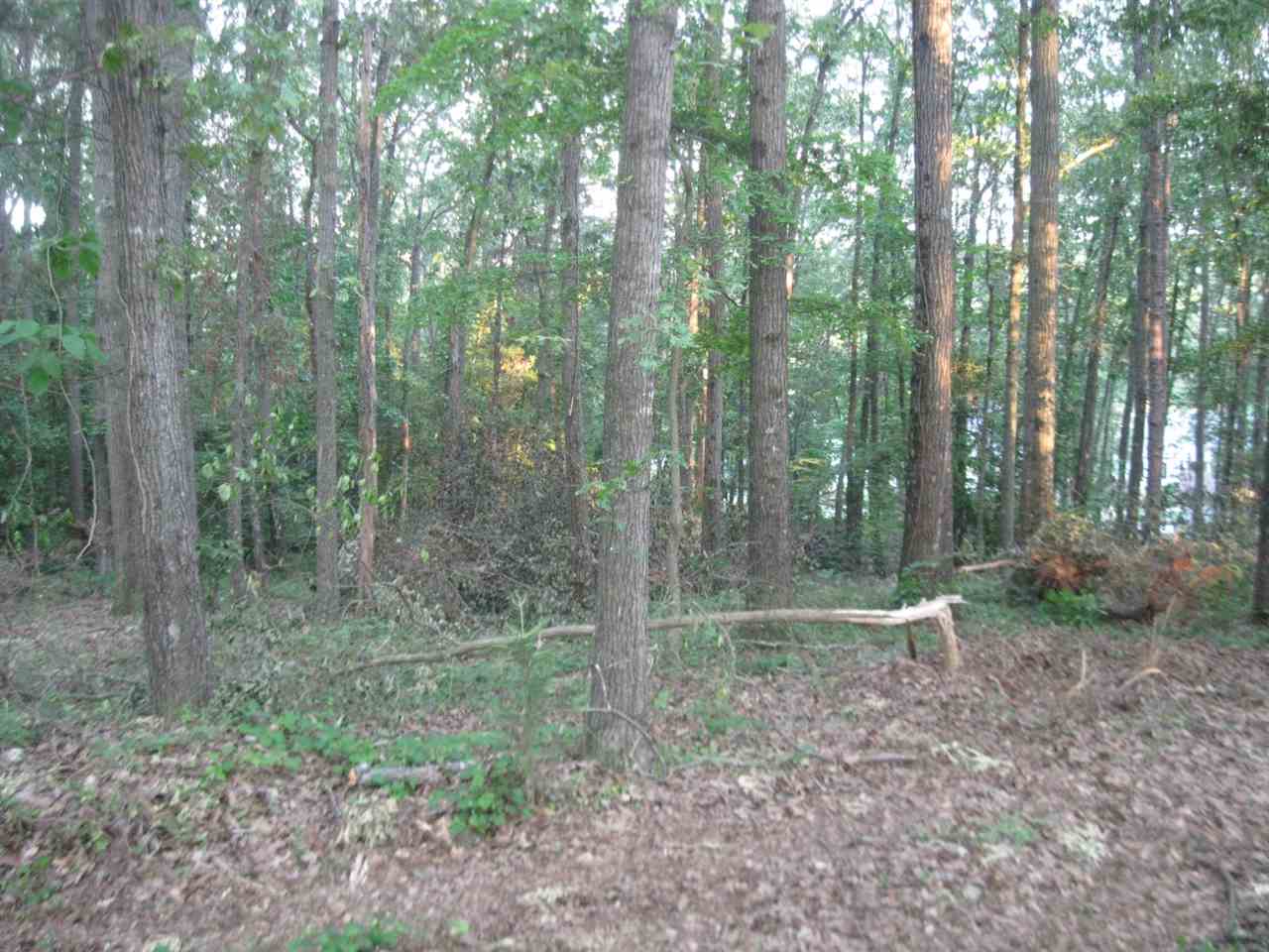 OO Hoppkins Road, Townville, SC 29689