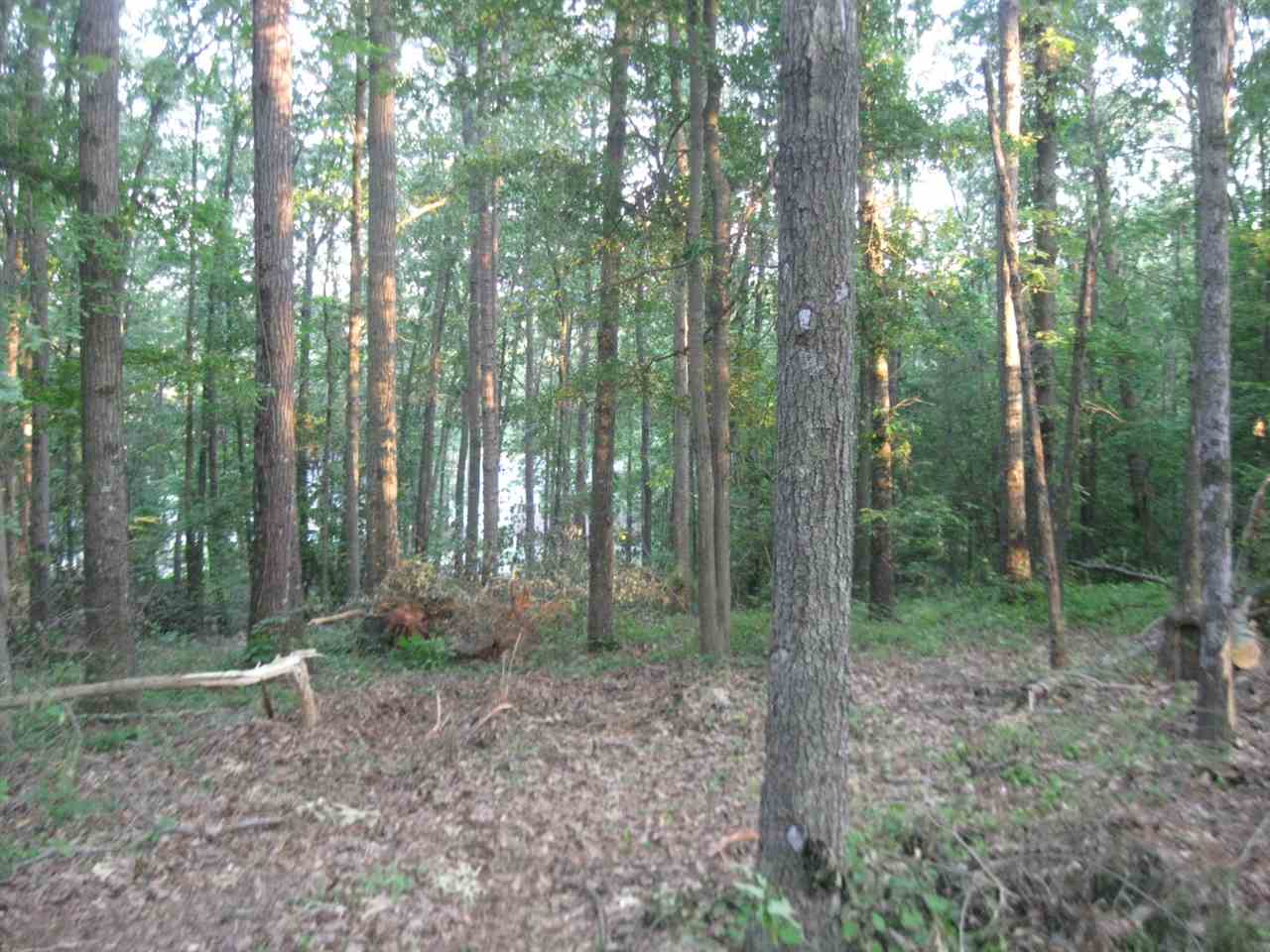 OO Hoppkins Road, Townville, SC 29689