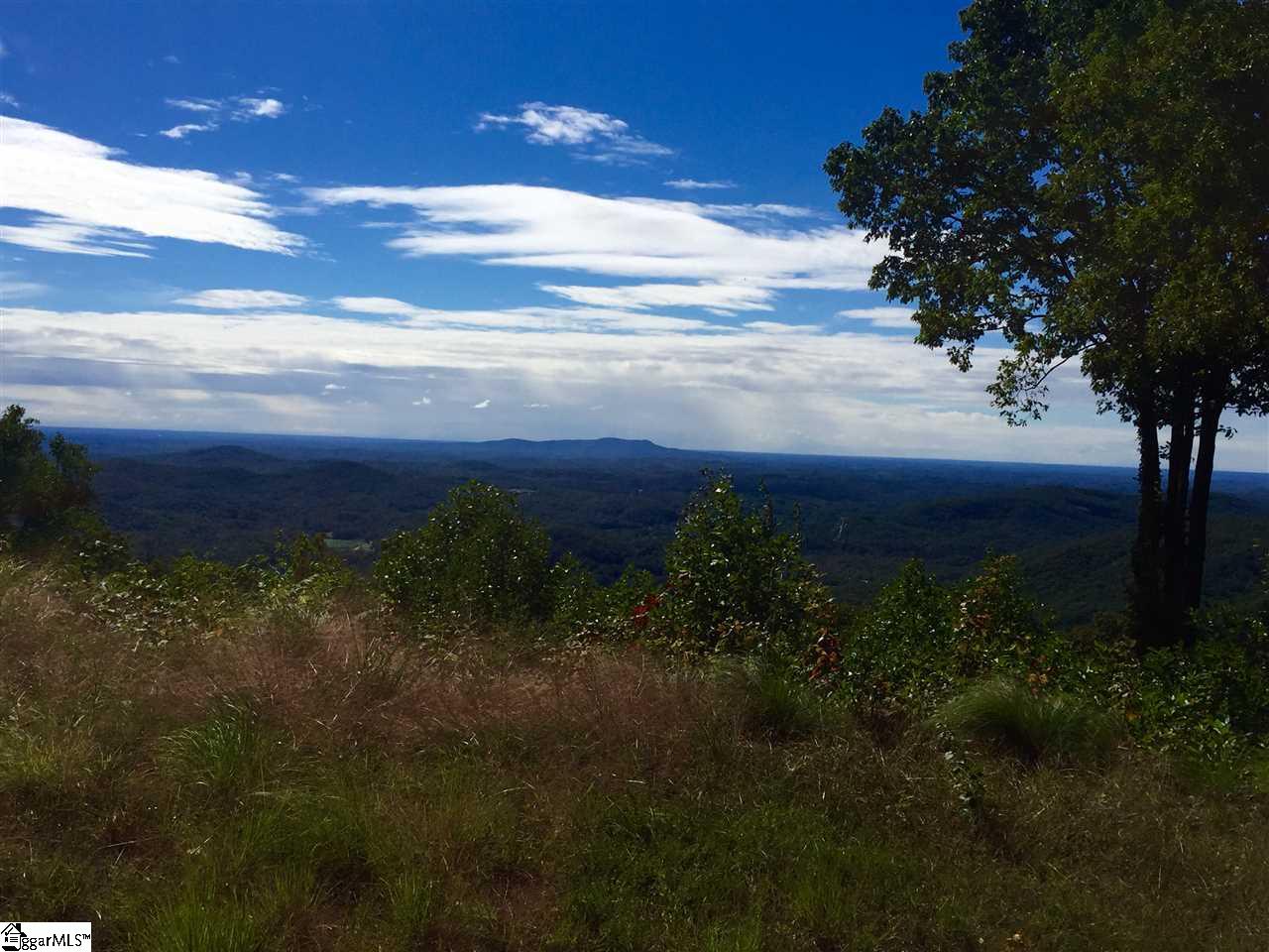1511 Panther Park Trail, Travelers Rest, SC 29690
