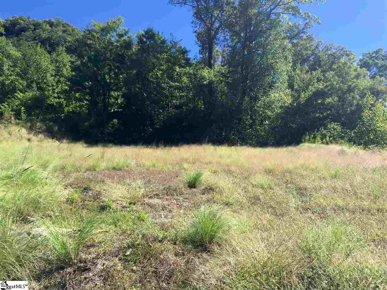 1511 Panther Park Trail, Travelers Rest, SC 29690