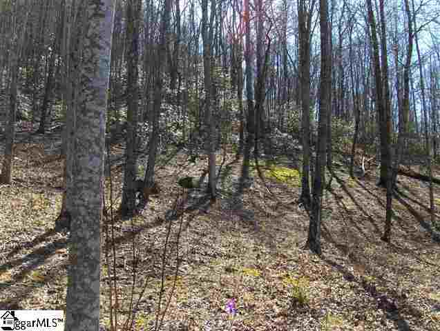 10 Buck Creek Trail, Travelers Rest, SC 29690