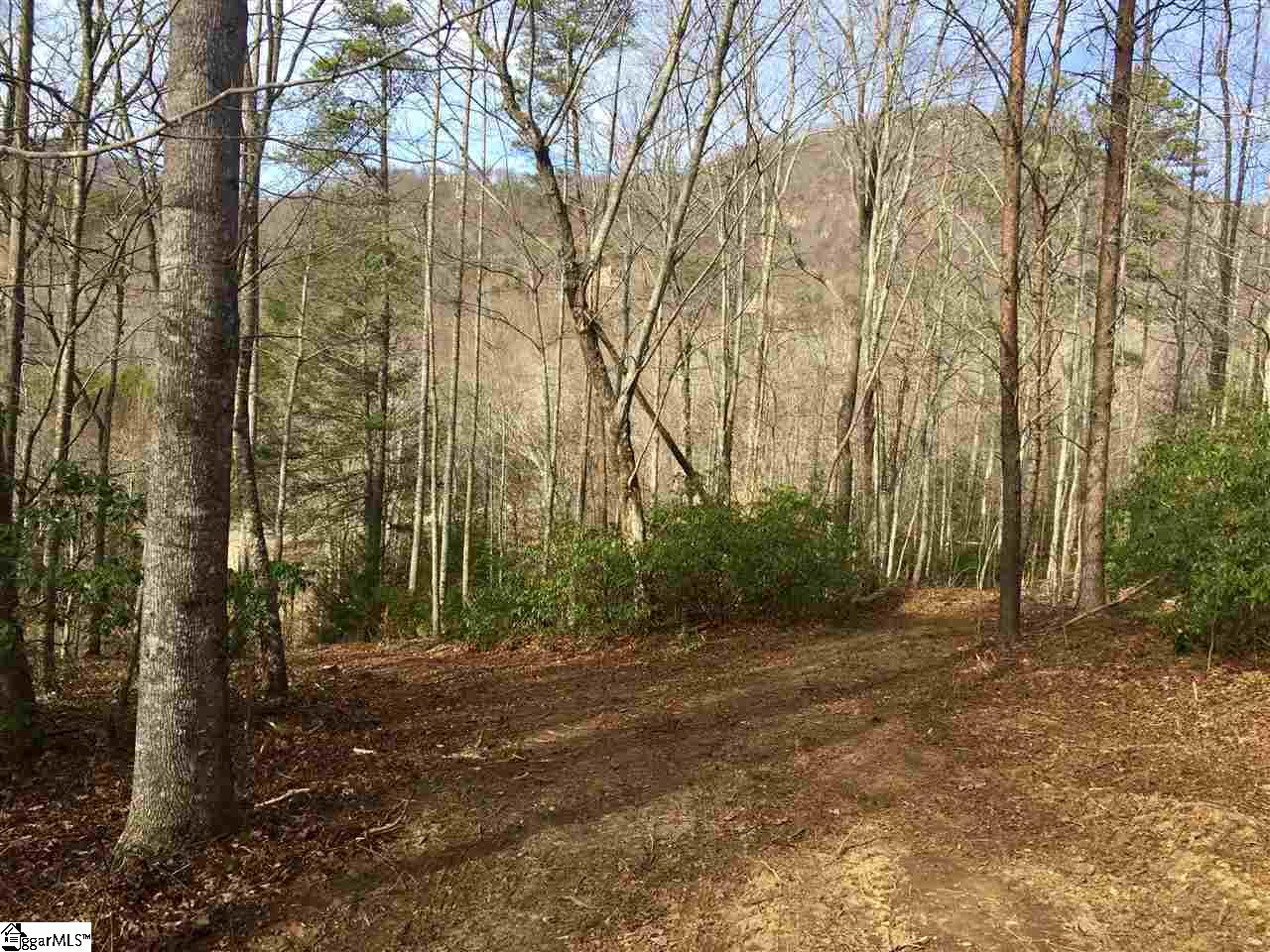 9 Buck Creek Trail, Travelers Rest, SC 29690
