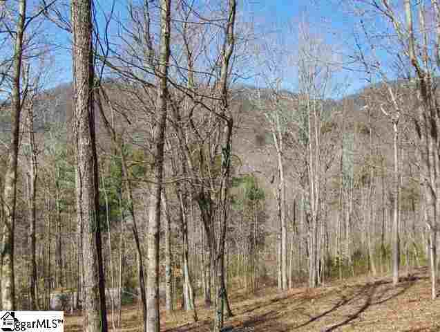 101 Buck Creek Trail, Travelers Rest, SC 29690