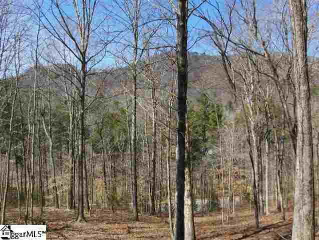 101 Buck Creek Trail, Travelers Rest, SC 29690