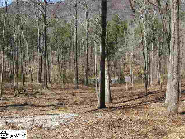 101 Buck Creek Trail, Travelers Rest, SC 29690