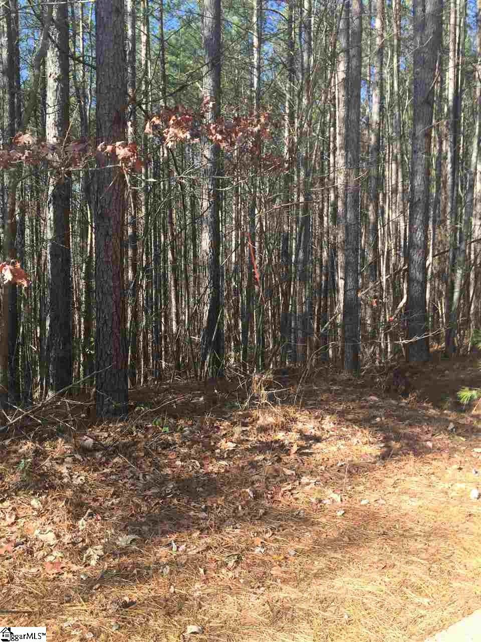 9 Belk Road, Travelers Rest, SC 29690